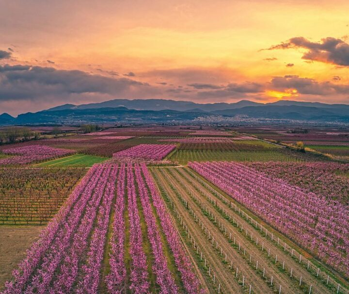 Edessa - Veria - Vergina